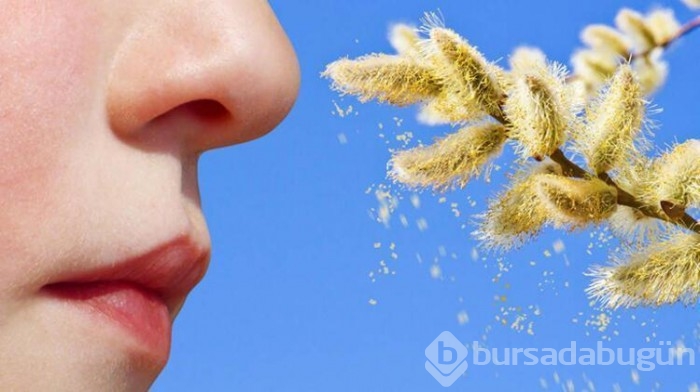 Sonbaharda alerjiler neden artar?