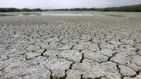 Van Gölü havzasında kuraklık endişe verici!