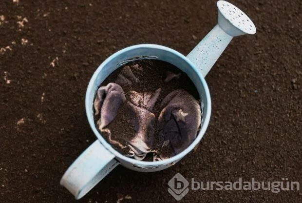 İspanya'daki mucizevi ev