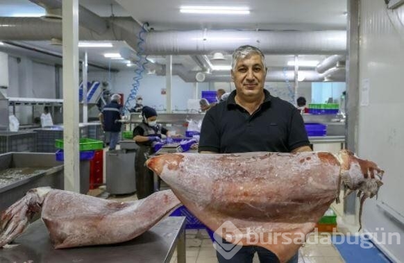 İzmir açıklarında 16 kiloluk 2 dev kalamar yakalandı