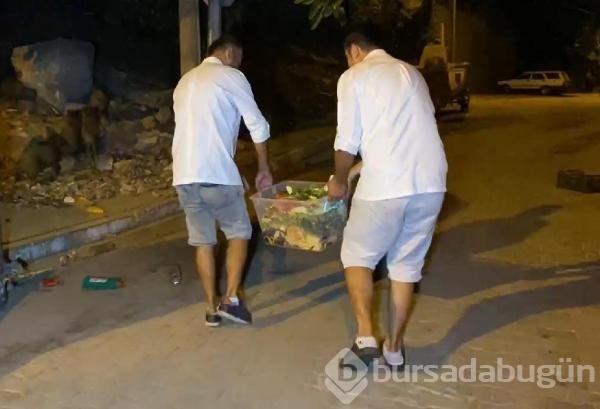 Fethiye merkezine inen domuzları turistler elleriyle besliyor...
