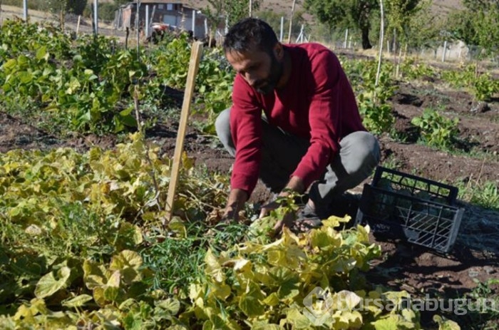 'Yetişmez' diyenlere inat ekti!