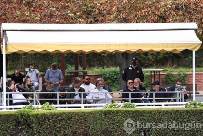 Yarış atı fiyatları dudak uçuklattı!