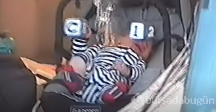 Zıplayıp ısırdı, çığlıklar yükseldi!