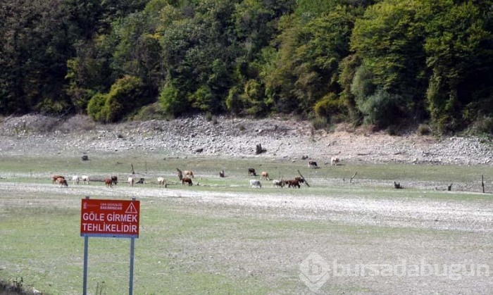 İstanbul'un suyunu karşılayan barajlar kurudu

