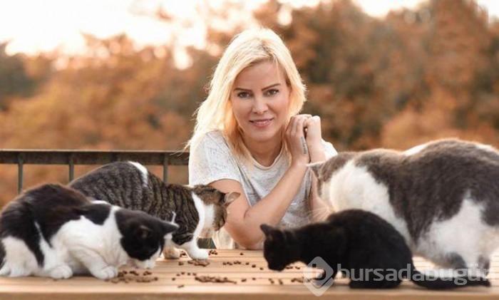 Ömür Gedik: Evde 30 kedi besliyorum