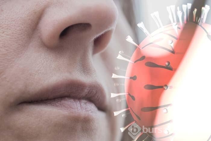 Tazı burun olarak nitelenen kişilerde covid sonrası tat, koku bozukluğu kalıcı olabilir