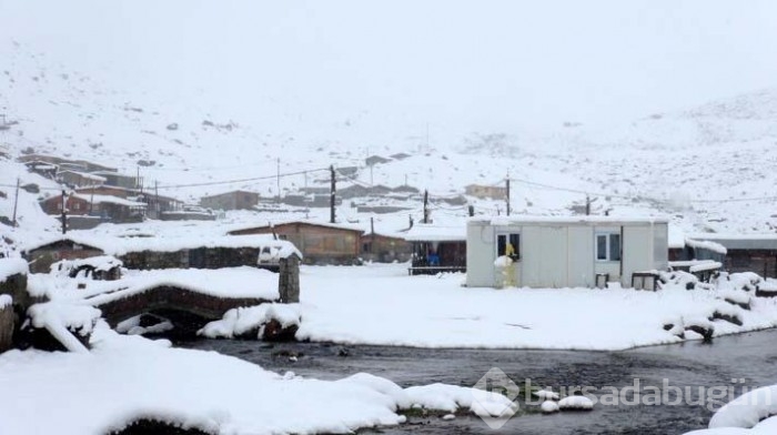 Doğu Karadeniz beyaz örtüyle kaplandı