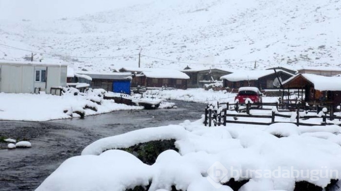 Doğu Karadeniz beyaz örtüyle kaplandı