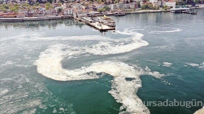 Marmara Denizi'nde bakteri uyarısı!