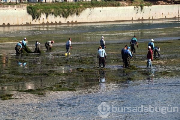 Seyhan Nehri, eski güzelliğine kavuştu...