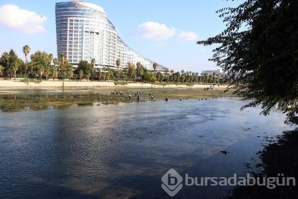 Seyhan Nehri, eski güzelliğine kavuştu...