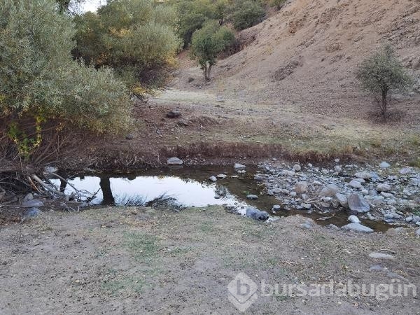 Çerme Deresi kurudu!