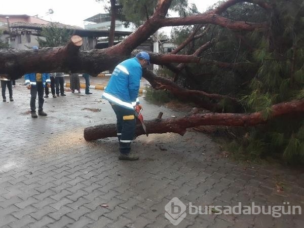 Aydın'da 7 yaralı, 15 iş yeri ile 17 araçta hasar!