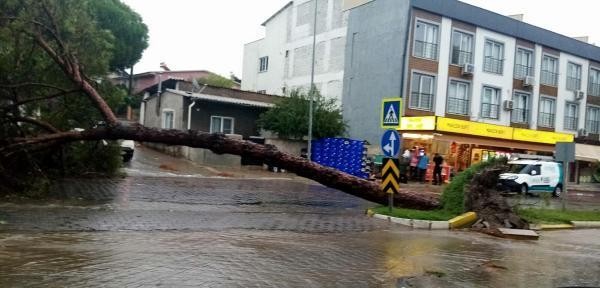 Aydın'da 7 yaralı, 15 iş yeri ile 17 araçta hasar!