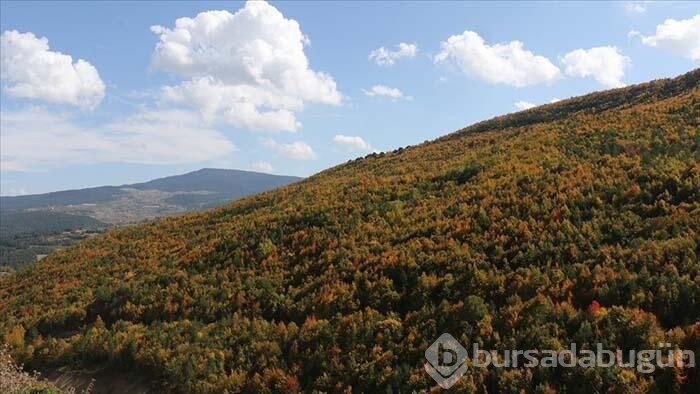 Yurdun dört bir yanından seyrine doyumsuz sonbahar manzaraları