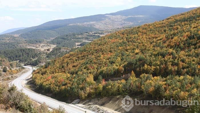 Yurdun dört bir yanından seyrine doyumsuz sonbahar manzaraları