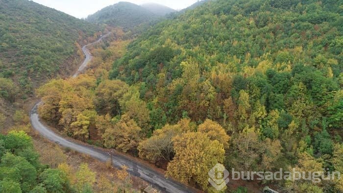 Yurdun dört bir yanından seyrine doyumsuz sonbahar manzaraları