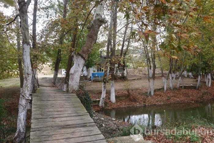 Yurdun dört bir yanından seyrine doyumsuz sonbahar manzaraları