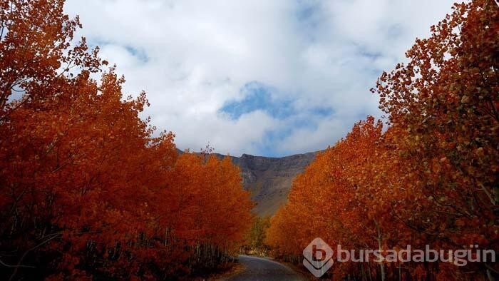 Nemrut Krater Gölü, sonbahar renkleriyle ayrı bir güzelliğe kavuştu...