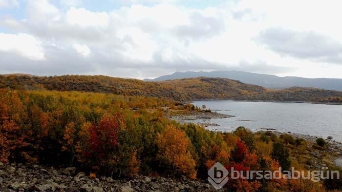 Nemrut Krater Gölü, sonbahar renkleriyle ayrı bir güzelliğe kavuştu...