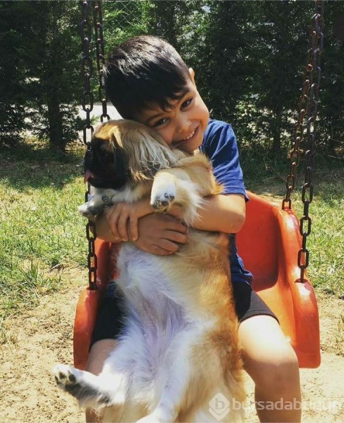 Yeğenin ölümüne sebep olan kişiye 6 yıla kadar hapis istemi!