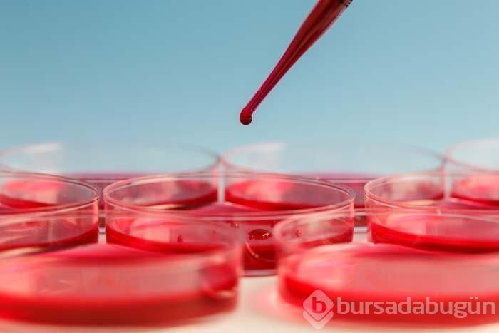 Kansızlığın vücuttaki 5 kritik belirtisi!