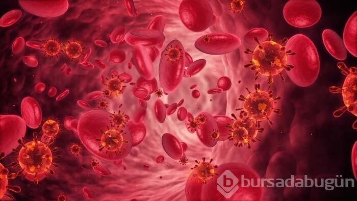 Kansızlığın vücuttaki 5 kritik belirtisi!
