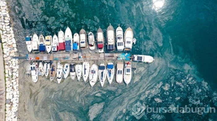 Marmara'ya özel koruma kalkanı
