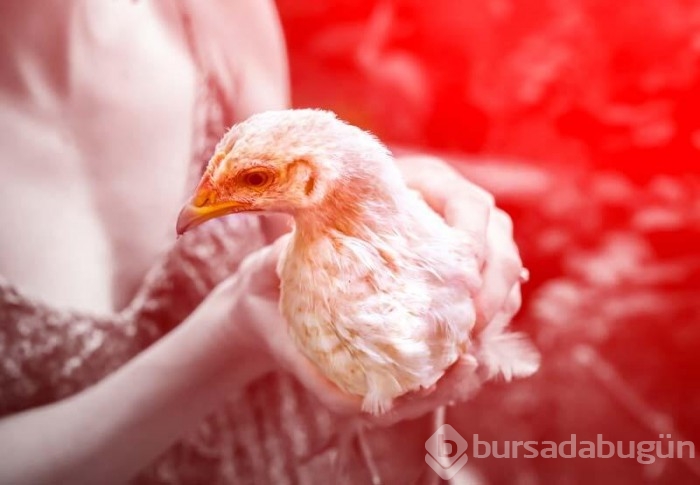 Ölümcül pandemi uyarısı!