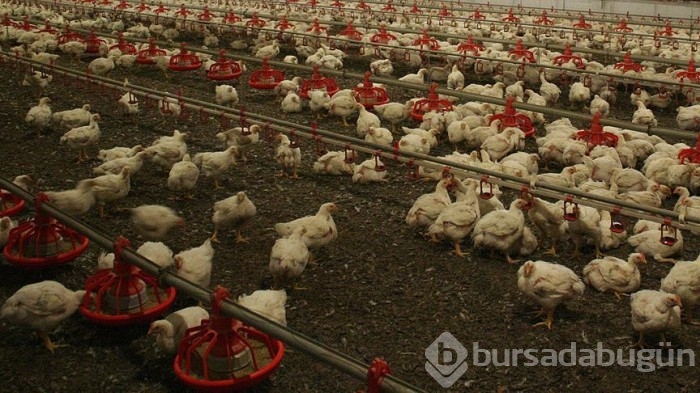 Ölümcül pandemi uyarısı!