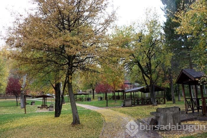 Sivas'ta "Hobbit Evleri"nin de bulunduğu mesire alanında sonbahar güzelliği
