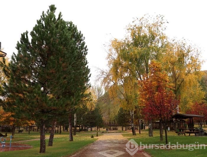 Sivas'ta "Hobbit Evleri"nin de bulunduğu mesire alanında sonbahar güzelliği
