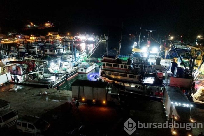 Karadeniz'de bulunan Kırklareli'nin Demirköy ilçesinde hamsi bereketi yaşanıyor!