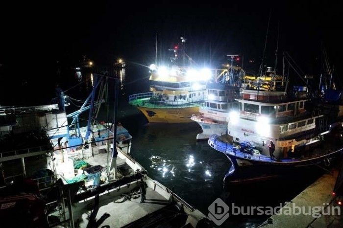 Karadeniz'de bulunan Kırklareli'nin Demirköy ilçesinde hamsi bereketi yaşanıyor!