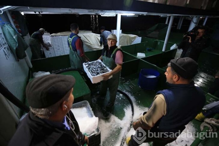 Karadeniz'de bulunan Kırklareli'nin Demirköy ilçesinde hamsi bereketi yaşanıyor!