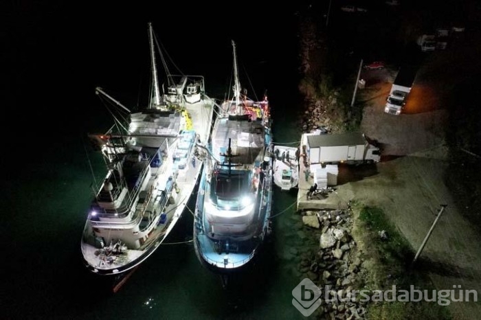 Karadeniz'de bulunan Kırklareli'nin Demirköy ilçesinde hamsi bereketi yaşanıyor!