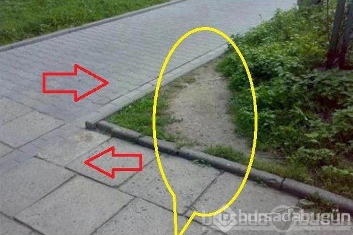 Sosyal medyada en çok tıklanan fotoğraflar