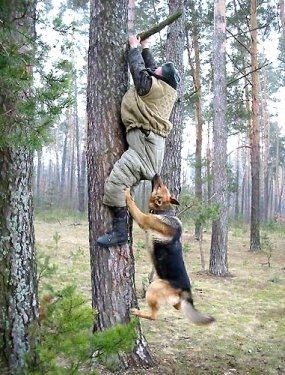 Son 10 yılın en komik fotoğrafları