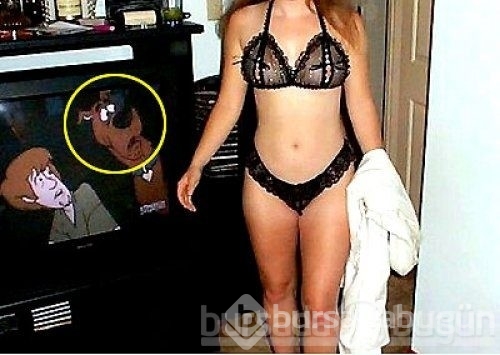 Son 10 yılın en komik fotoğrafları