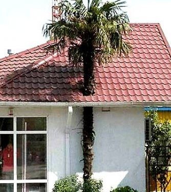 Son 10 yılın en komik fotoğrafları