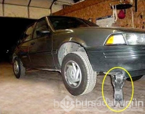 Son 10 yılın en komik fotoğrafları