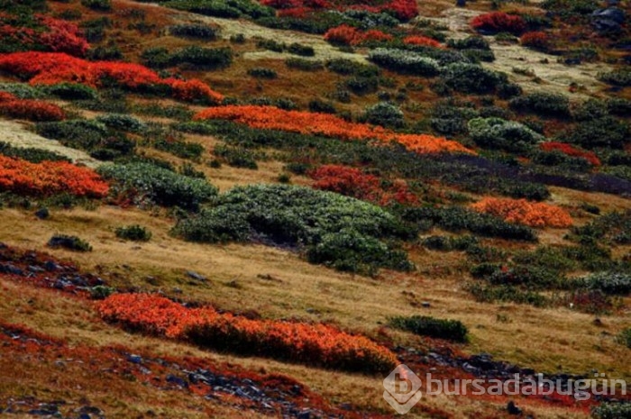 Sonbaharda fotoğraf tutkunlarının Karadeniz'deki ilk adresi!