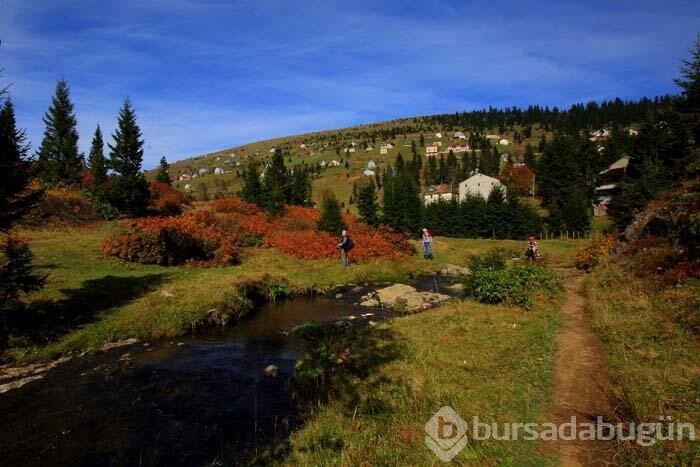 Sonbaharda fotoğraf tutkunlarının Karadeniz'deki ilk adresi!