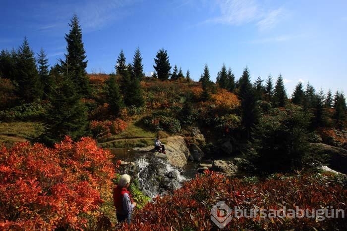Sonbaharda fotoğraf tutkunlarının Karadeniz'deki ilk adresi!