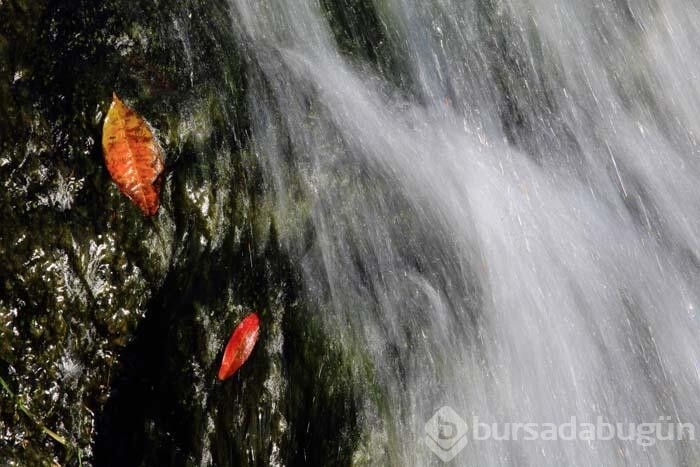 Sonbaharda fotoğraf tutkunlarının Karadeniz'deki ilk adresi!