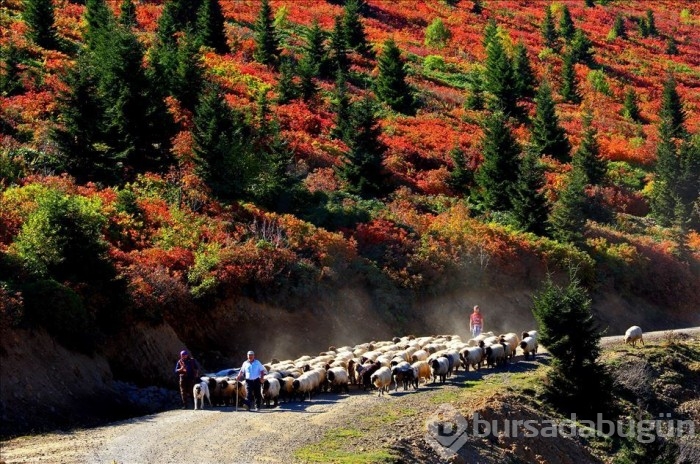 Sonbaharda fotoğraf tutkunlarının Karadeniz'deki ilk adresi!