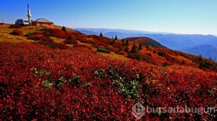 Sonbaharda fotoğraf tutkunlarının Karadeniz'deki ilk adresi!