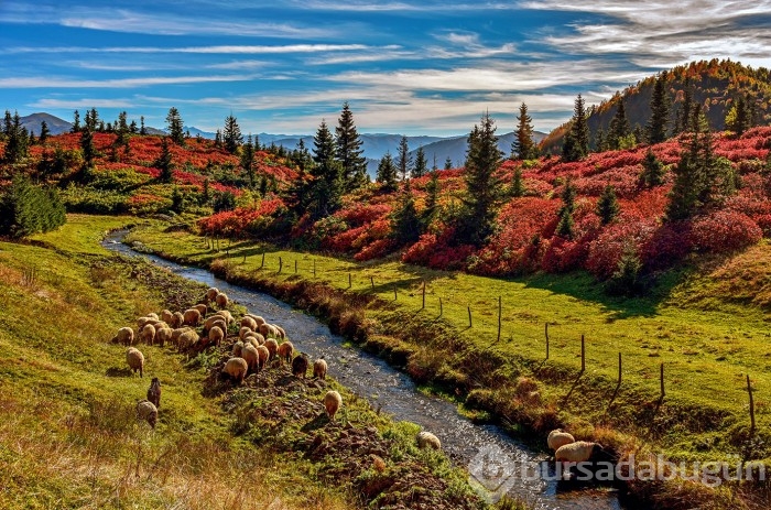 Sonbaharda fotoğraf tutkunlarının Karadeniz'deki ilk adresi!