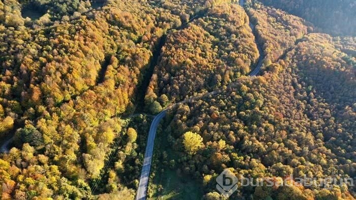 Gölcük Tabiat Parkı'ndan kartpostallık görüntüler
